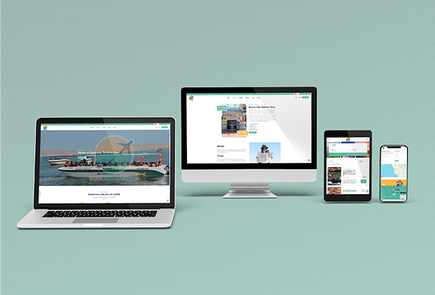 Sitio web Lik Explorer Perú